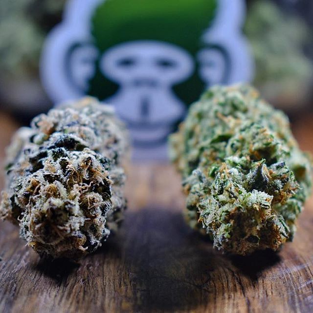 Grass Monkey Cannabis Company Website