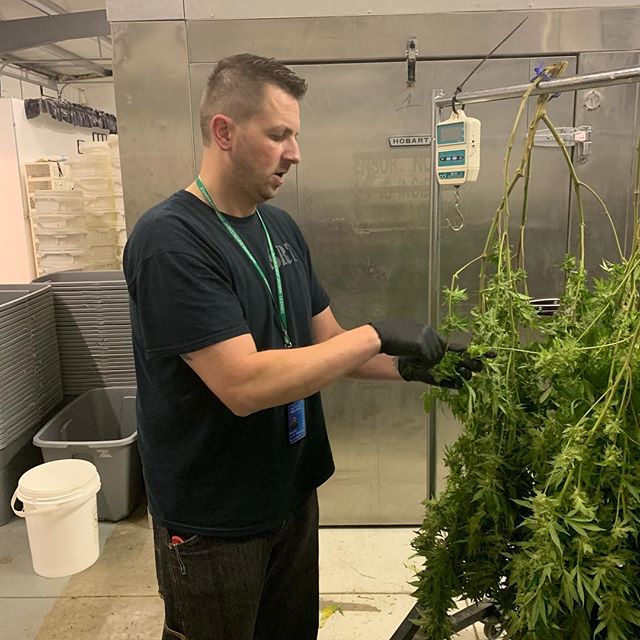 Three Rivers Dispensary Pueblo West Website