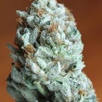420EvaluationsOnline - Murrieta Website