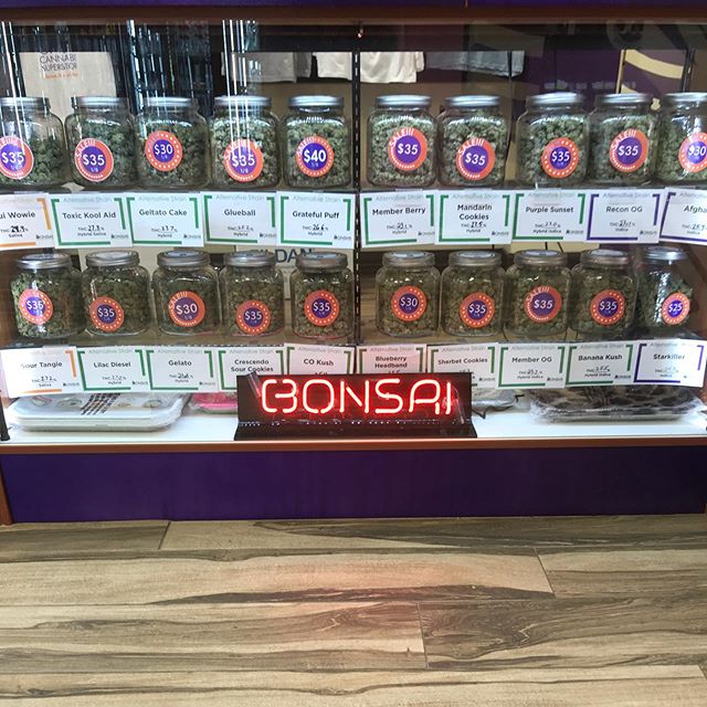 Medicinal Oasis - Recreational Website