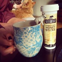 Mountain Medicine Website