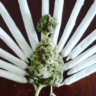 Northeast Alternatives - Medical Website