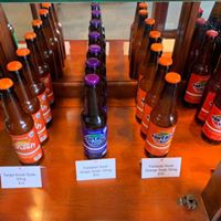 Oceanside Alternative Medicine Evaluation Center Website