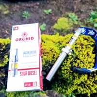 Alpha Alternative Solutions, LLC Website