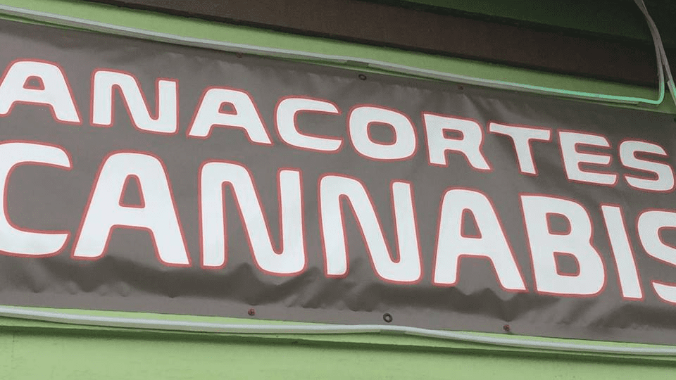 Anacortes Natural Medicine Website