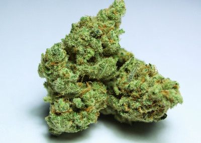 Twenty After Four Wellness Center Website