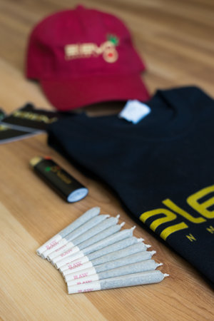 Elev8Cannabis Website