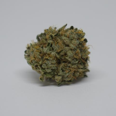 Cannabud Runner Website