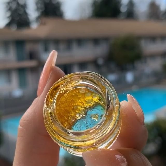 Kush21 - Pullman Website