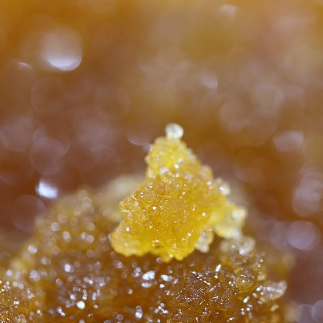 Chronic Therapy - Cortez Website