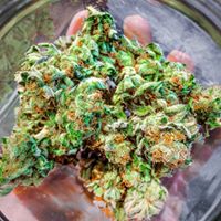 Best Buds Delivery Website