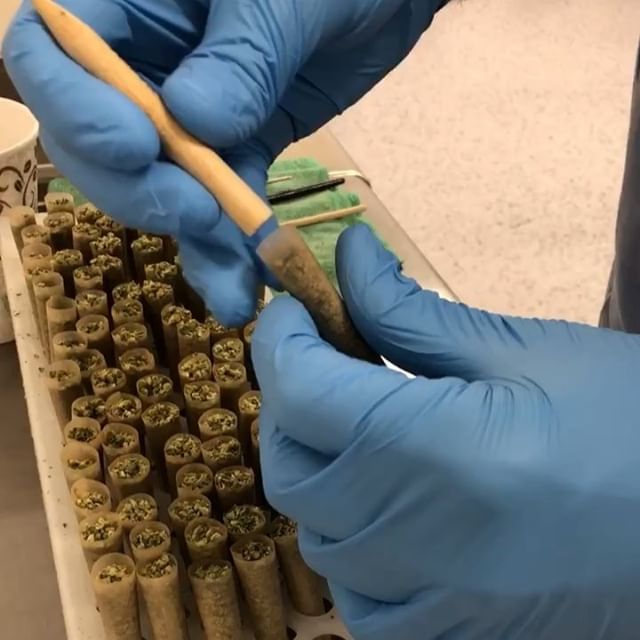 Revolutionary Clinics - Fresh Pond Website