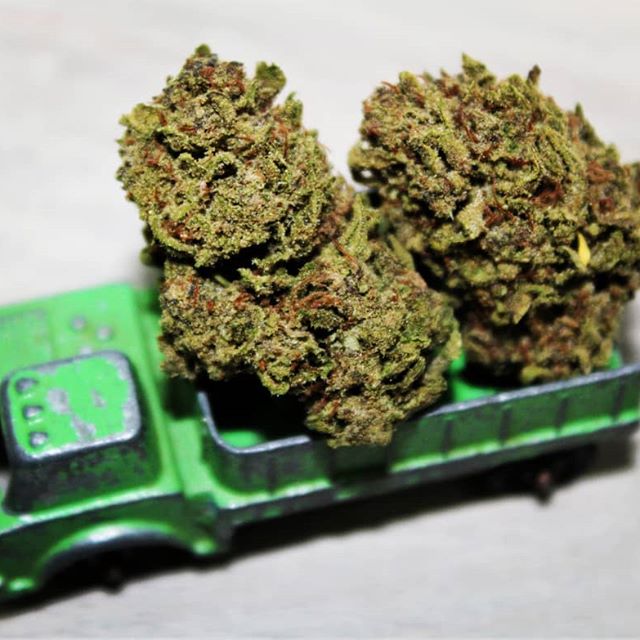 The Agrestic North Website