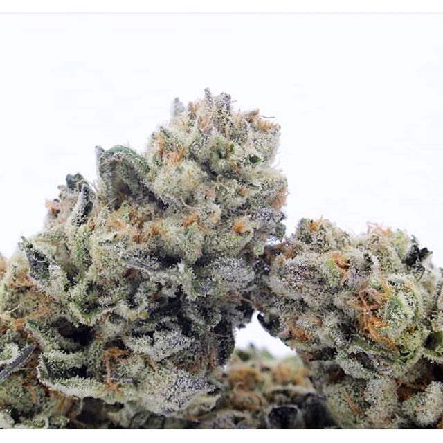 Green Valley Wellness - Talent, Oregon Website