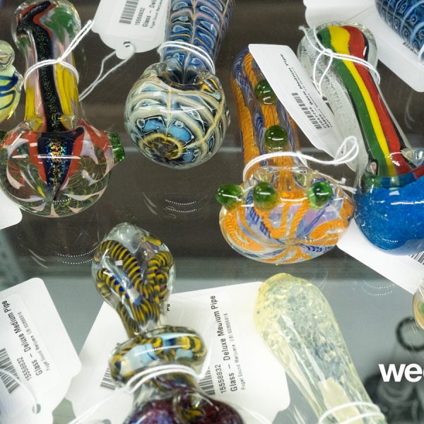 A Greener Today - Lynnwood Website