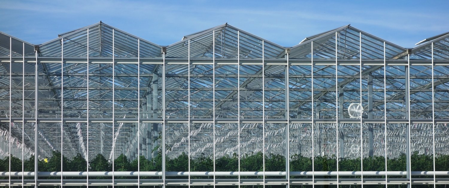 Pure Cultivation Website