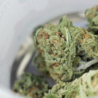 The CBDispensary Website