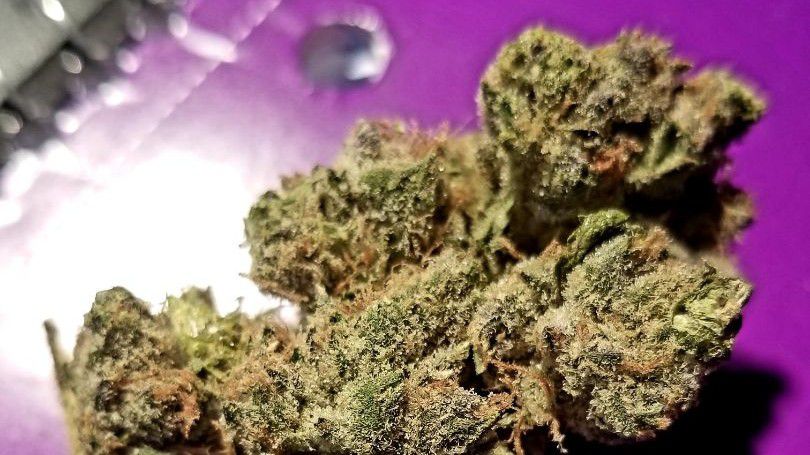 Silhouettes Services - Oregon City Website