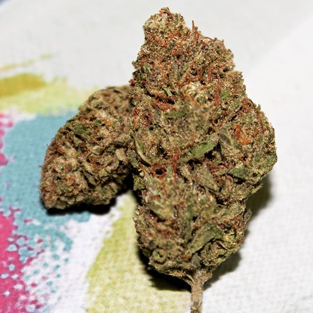 The Agrestic North Website