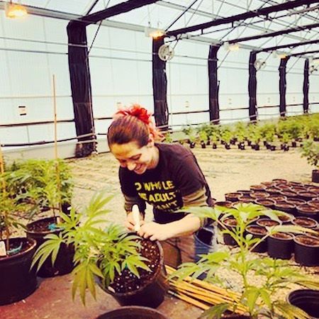 Nectar - Salem Website