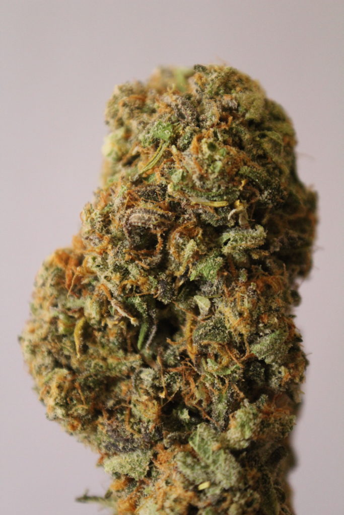 AGT - Lake Forest Website