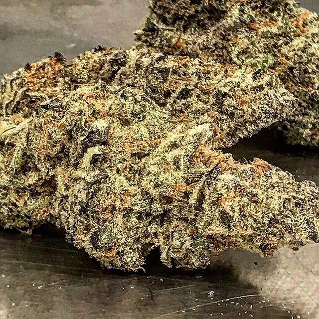 Spark1 - Missoula Website