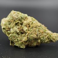 Diego Pellicer - South Denver Website