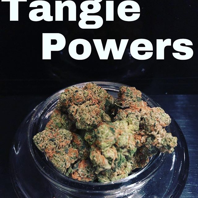 Freedom Road Dispensary Brickyard Cannabis Company Details Infuzes