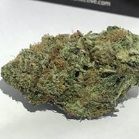 Coughy Shoppe Collective - Hayward Website