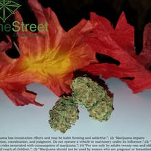 Pine Street Cannabis Company Website