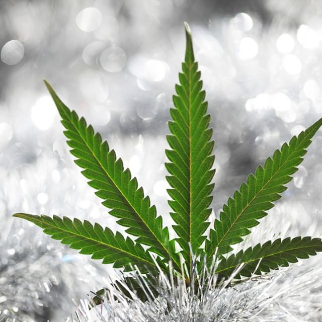 Lucy Sky Cannabis Boutique - Washington Park Website