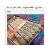 Road Runner Co - Oakland Website