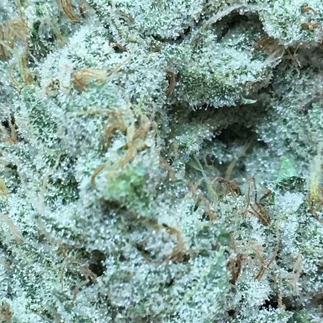 Lovelight Medicinals Website