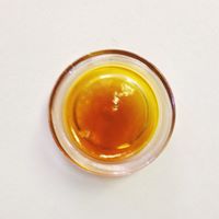 Tree House Collective Website