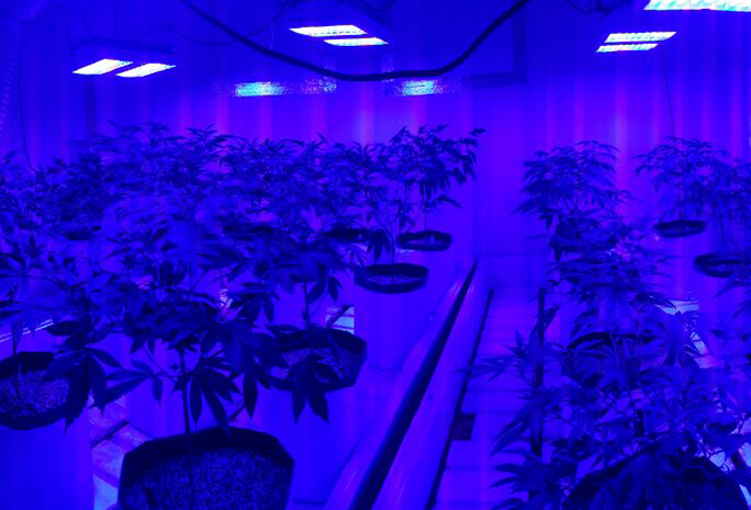 Lumini Technology Co.,Ltd Website