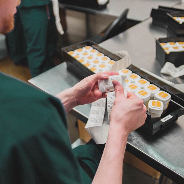 Cultivate Recreational Website