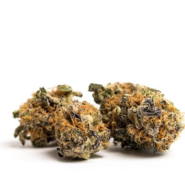 Levels - Denver Website