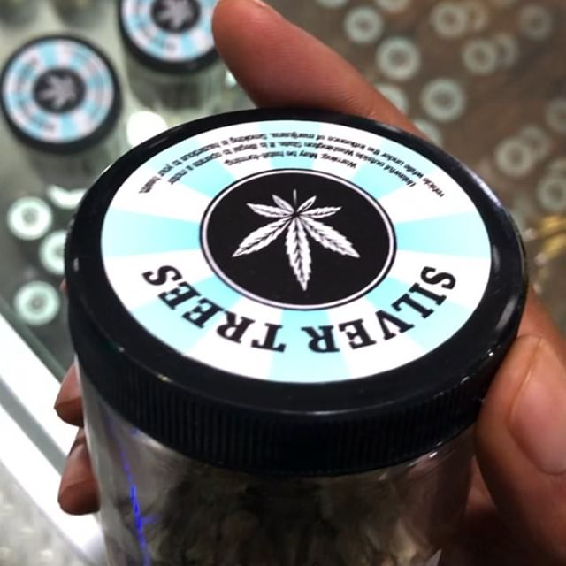 Elite - Lacey Website