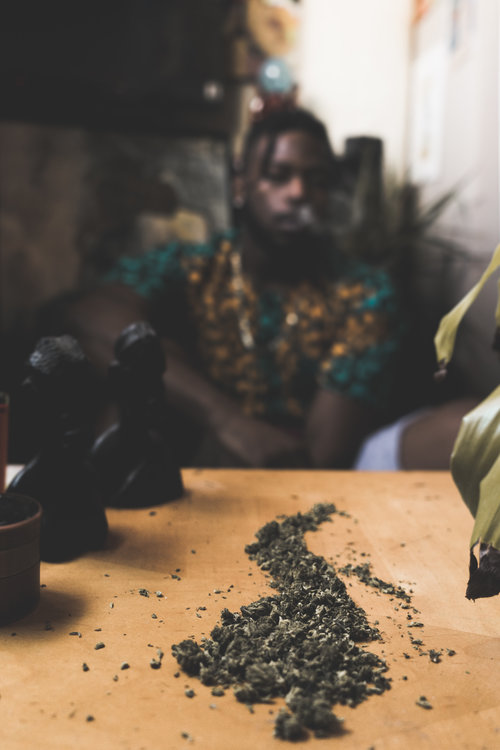 Elev8Cannabis Website