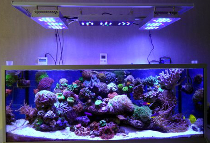 Lumini Technology Co.,Ltd Website