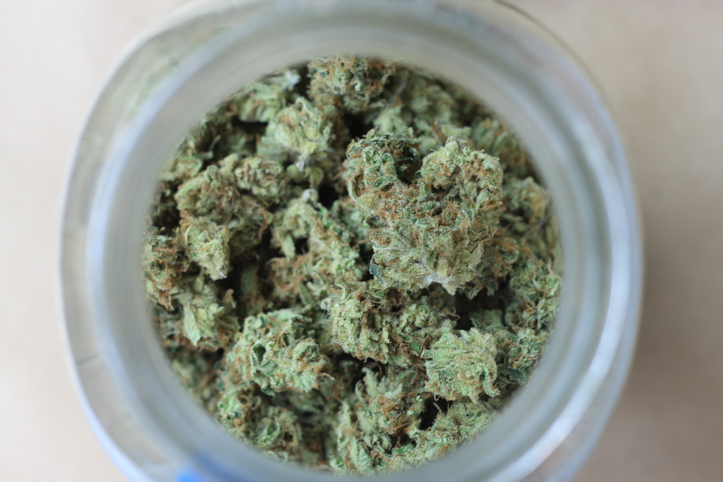 Maine Cannabis Exchange Website