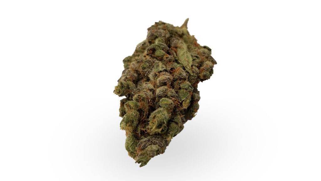 Nature's Medicines - Fall River Website