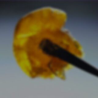 Smoakland - San Ramon Website