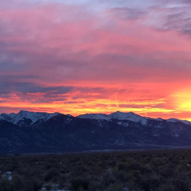 1:11 Dispensary Website