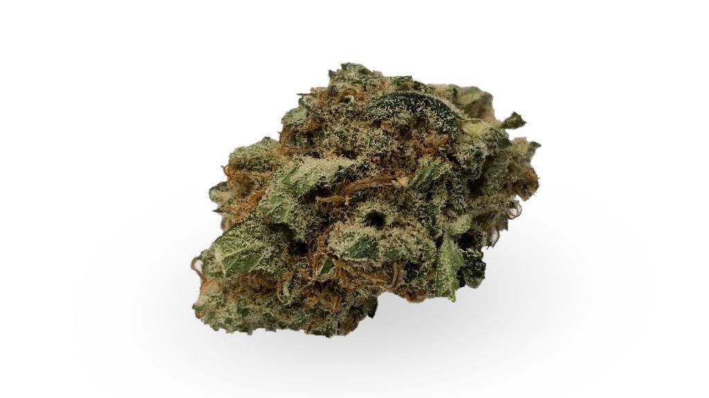 Nature's Medicines - Fall River Website