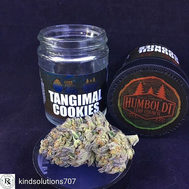 HPRC - Arcata Website