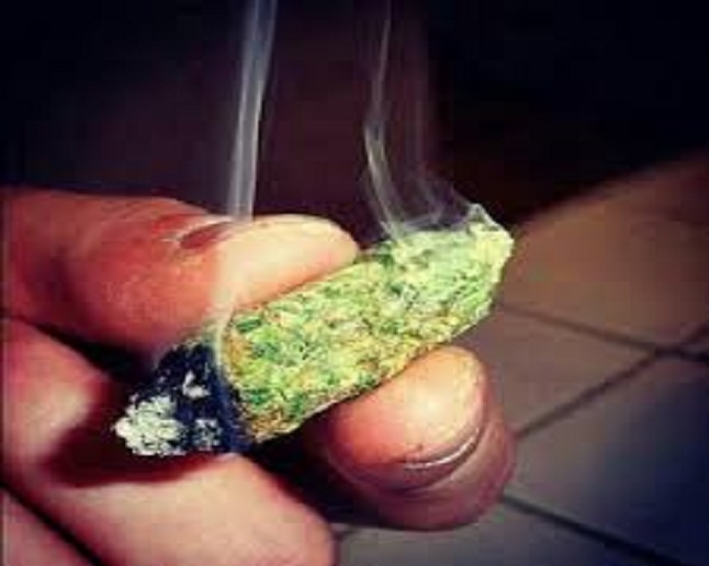 Locals Canna House - Spokane Valley Website