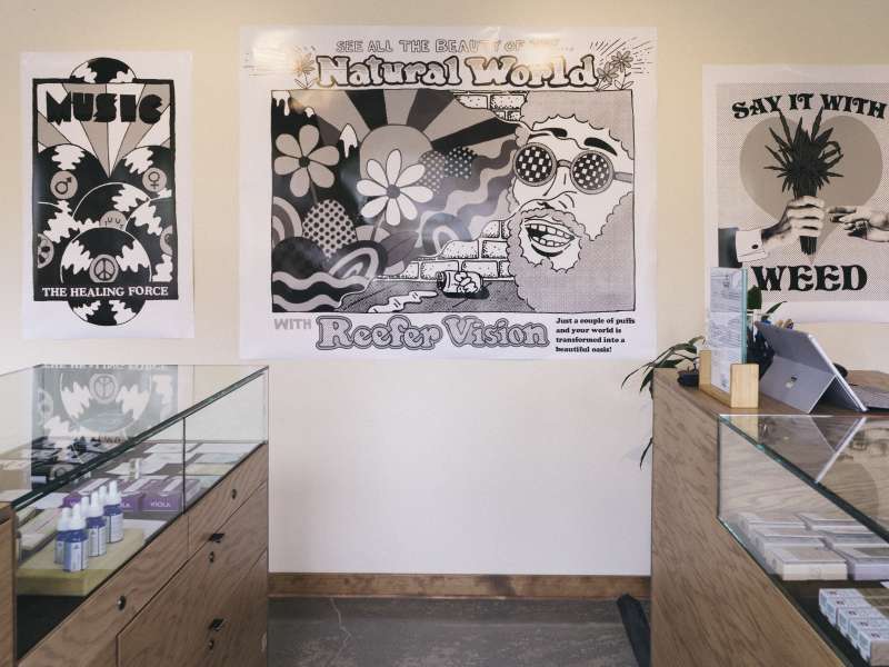 Electric Lettuce - Overlook Website