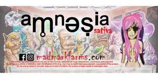 Always Greener Downtown - Redmond Website