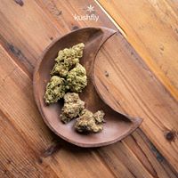 Kushfly Website